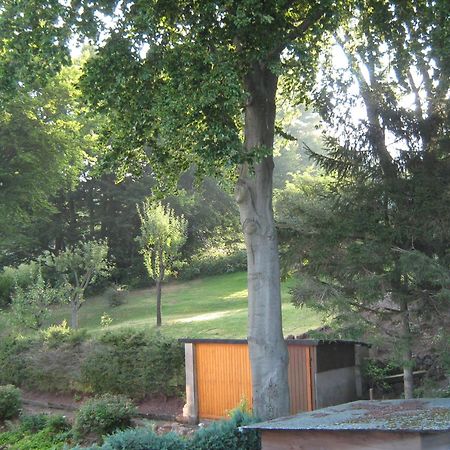 Ferienwohnung Sauerland Panorama Korbach Exterior foto