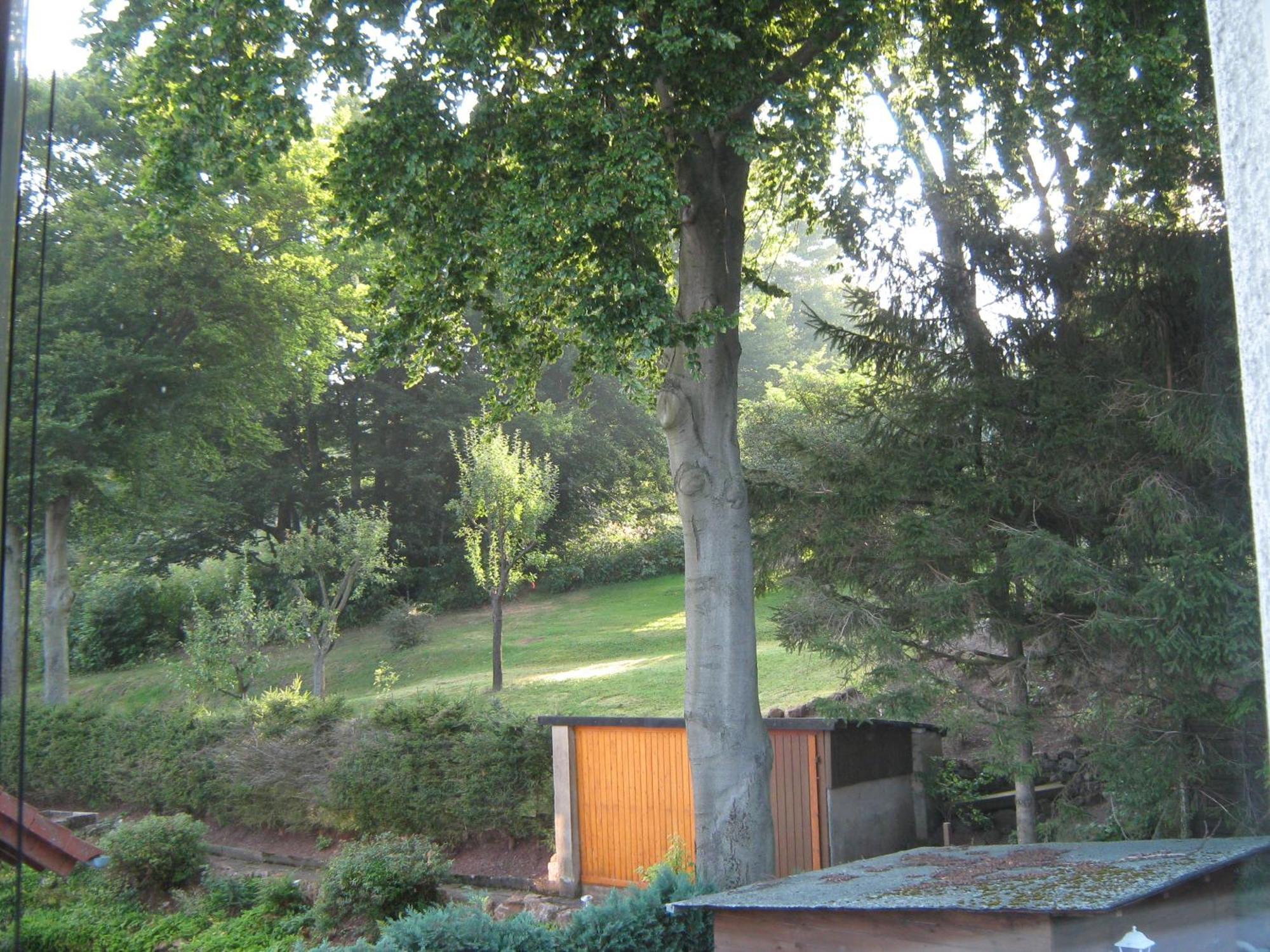 Ferienwohnung Sauerland Panorama Korbach Exterior foto